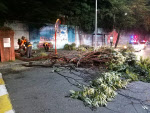 서울시 “태풍 ‘바비’로 인명피해 없어…시설물 안전 조치”