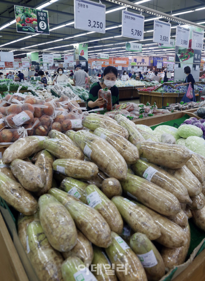  신선채소 가격 폭등                                                                                                                                                                               