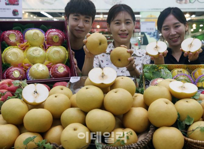  화산배 첫 출하                                                                                                                                                                                   