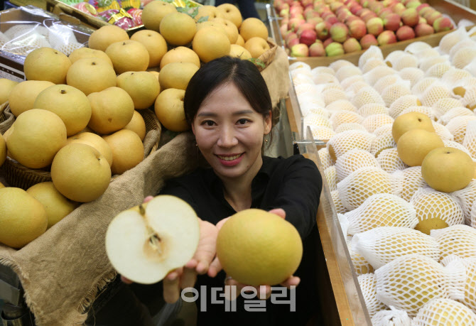  햇 화산배 출하                                                                                                                                                                                   