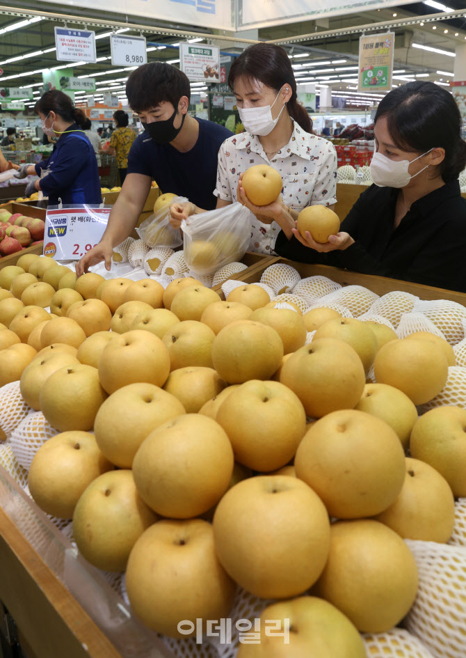  크고 단맛 강한 '화산배' 출하                                                                                                                                                           