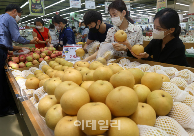  농협유통, '화산배' 출하                                                                                                                                                                