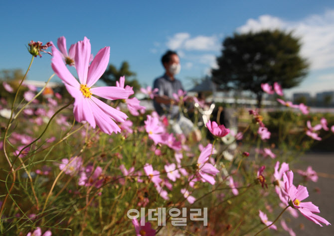 '가을이 왔네요'                                                                                                                                                                         