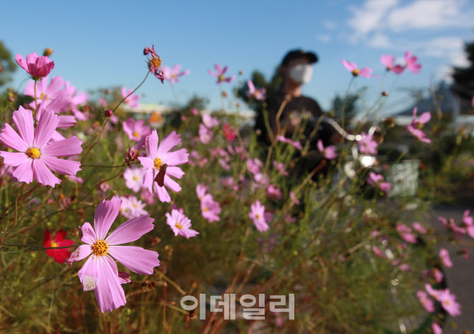 '어느새 찾아온 가을'                                                                                                                                                                    