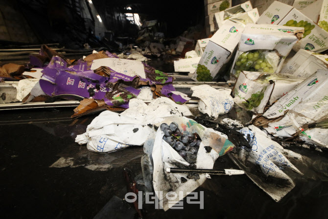 주인을 잃은 포도                                                                                                                                                                                  