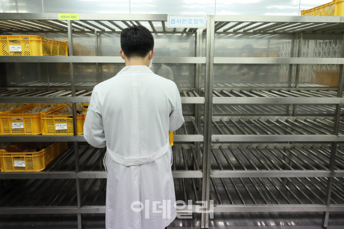 평소엔 꽉 차 있던 혈액                                                                                                                                                                            