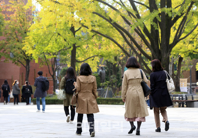  가을 물드는 마로니에 공원                                                                                                                                                                        
