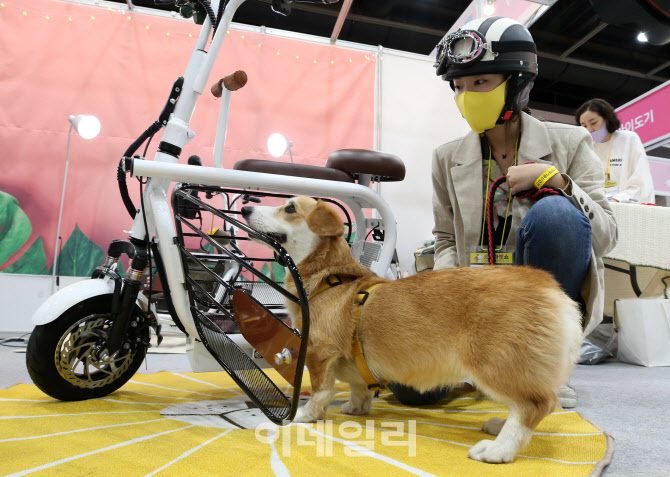 애완동물 태우고 산책 가능한 전기스쿠터                                                                                                                                                            