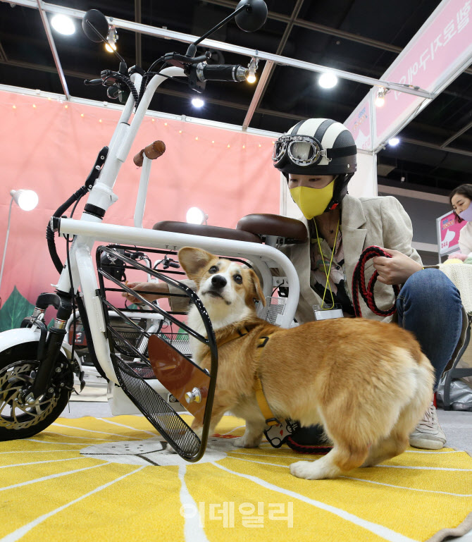 애견과 함께 산책 떠나볼까?                                                                                                                                                                        