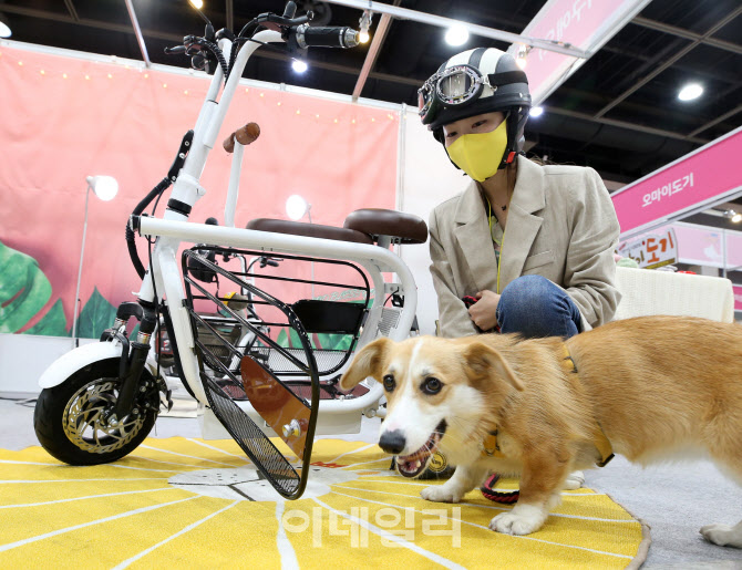애견과 함께 전기스쿠터 타고 산책 어때요?                                                                                                                                                          