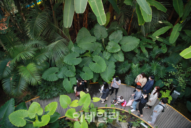 '식물원 찾은 시민들'                                                                                                                                                                    