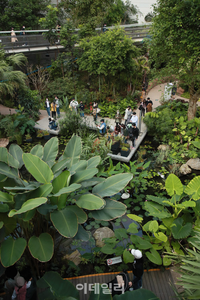 사회적 거리두기 1단계, '식물원에서 오후'                                                                                                                                                