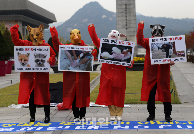  동물 희생 막아주세요~                                                                                                                                                                            