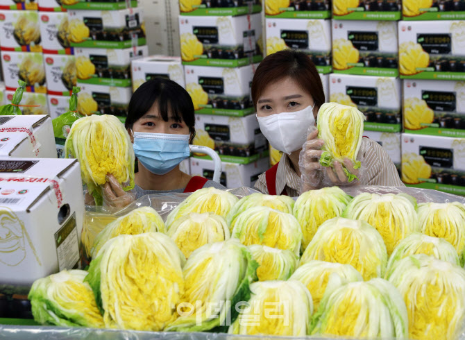  절임배추 사전예약 할인판매                                                                                                                                                                       