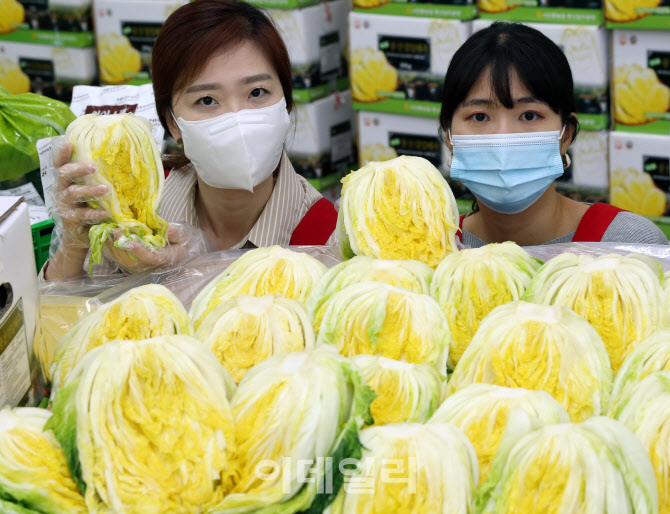  김장철 절임배추 사전예약                                                                                                                                                                         