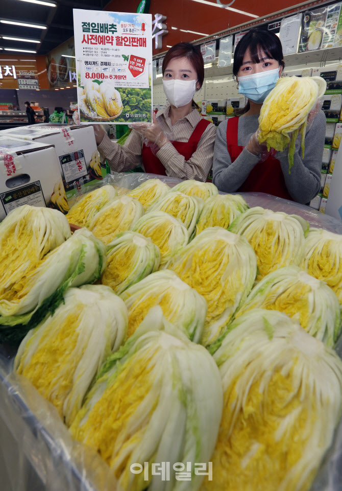  김장철 앞두고 절임배추 선보여...                                                                                                                                                                 