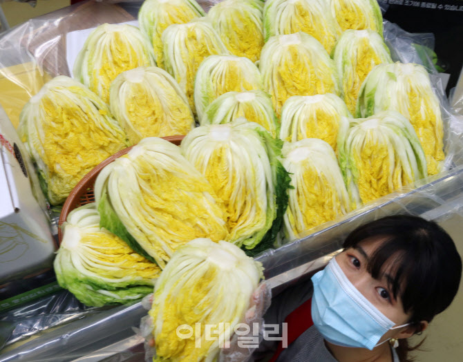  절임배추 사전예약                                                                                                                                                                                