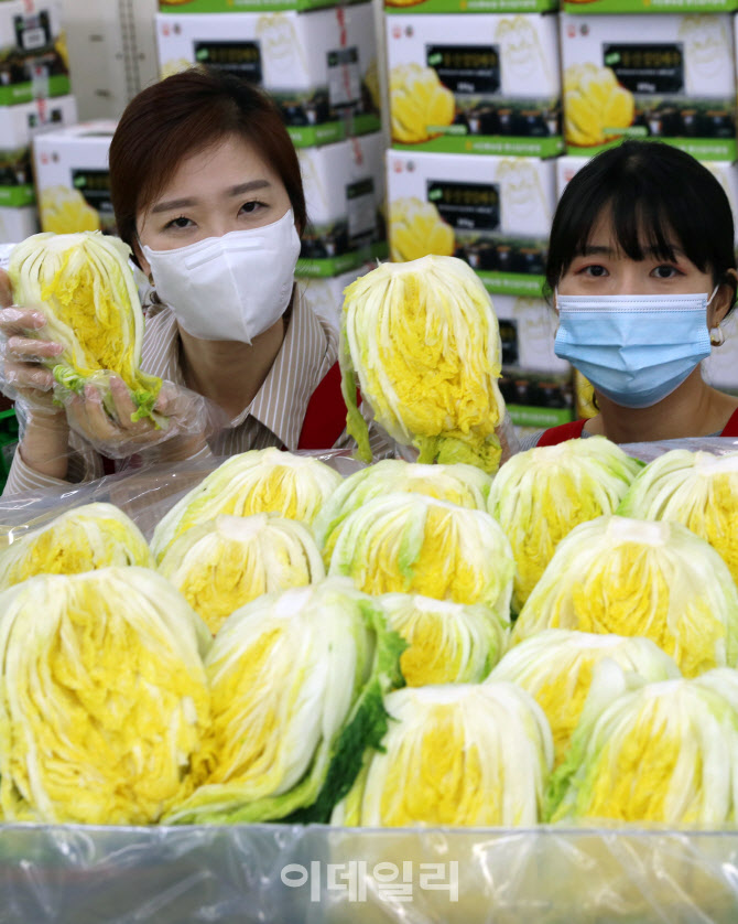  양재하나로마트, 절임배추 사전예약 판매                                                                                                                                                           