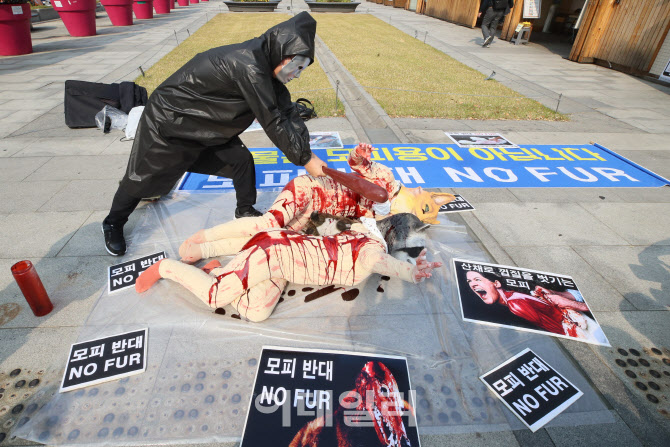 모피-다운 반대 퍼포먼스                                                                                                                                                                           