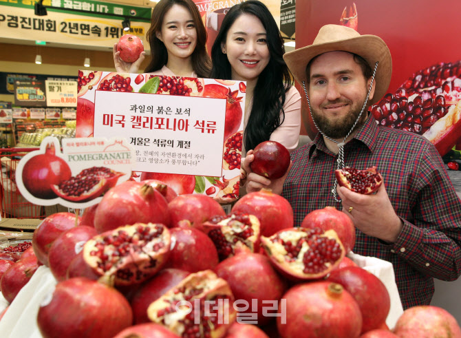  석류 먹고 면역키워요~                                                                                                                                                                            