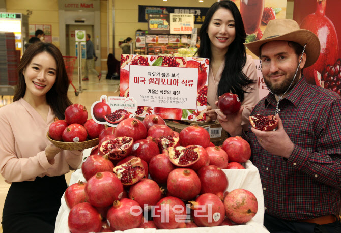  환절기 면역강화 식품 '석류'                                                                                                                                                            