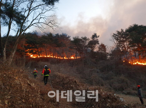 6일 경북 영덕서 산불 발생…산림당국, 일몰전 진화에 총력