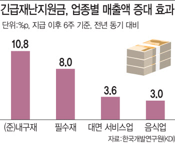 [코로나1년]"전국민지원금은 재정낭비..선별지원 행정비용 줄여야"