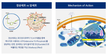 [주목! e기술] 암 정복 꿈꾸는 4세대 항암제 ‘대사항암제’