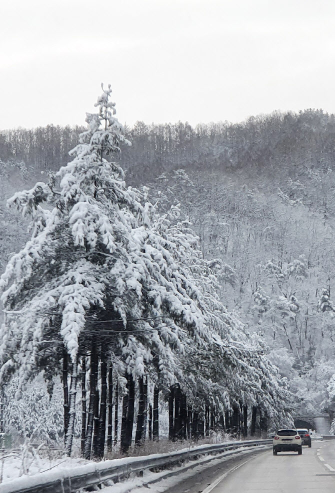  다시 겨울 펼쳐진 강원도                                                                                                                                                                          
