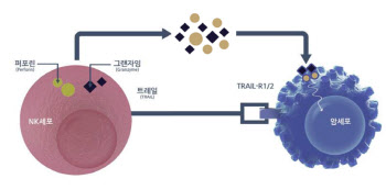 [제약바이오 스페셜] 차바이오텍이 쏘아 올린 NK세포 치료제...‘항암제 역사 새로 쓴다’
