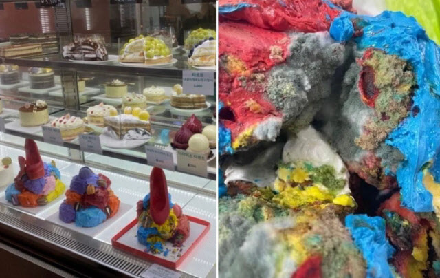 ‘Solbi Cake’ sells cafe in controversy over mold “We are fully responsible”