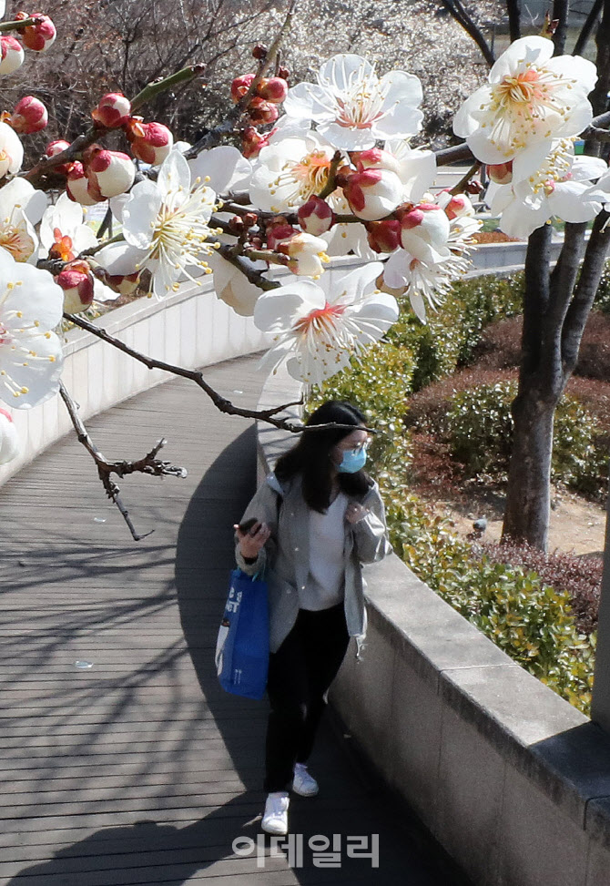 어느덧 우리곁에 성큼 다가온 봄                                                                                                                                                                    