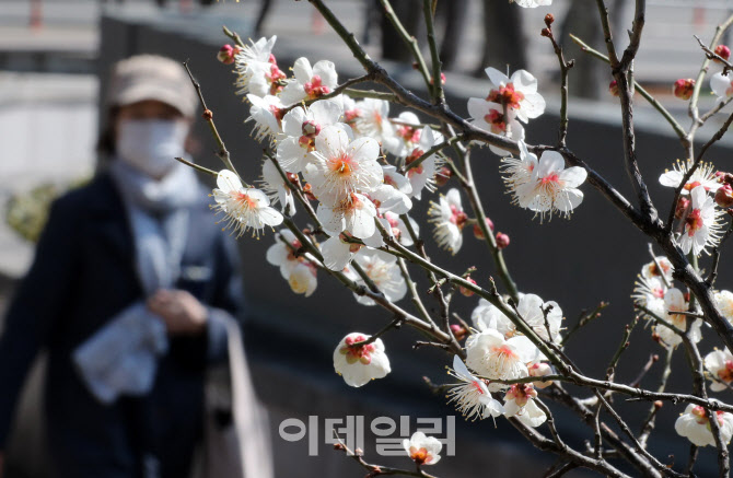 소리소문없이 우리 곁에 다가온 봄                                                                                                                                                                  