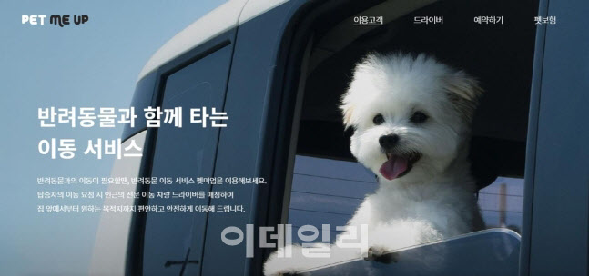 깔끔하게 정돈된 실내 공간의 다양한 반려식물들