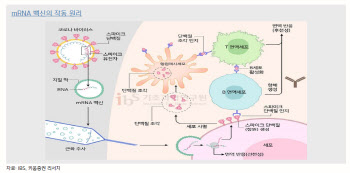 [바이오강국 관문 M&A]①"코로나19와 mRNA, M&A 불을 댕기다"