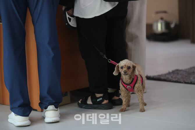 도농동 주상복합건물 화재, '반려견과 대피소로'                                                                                                                                           