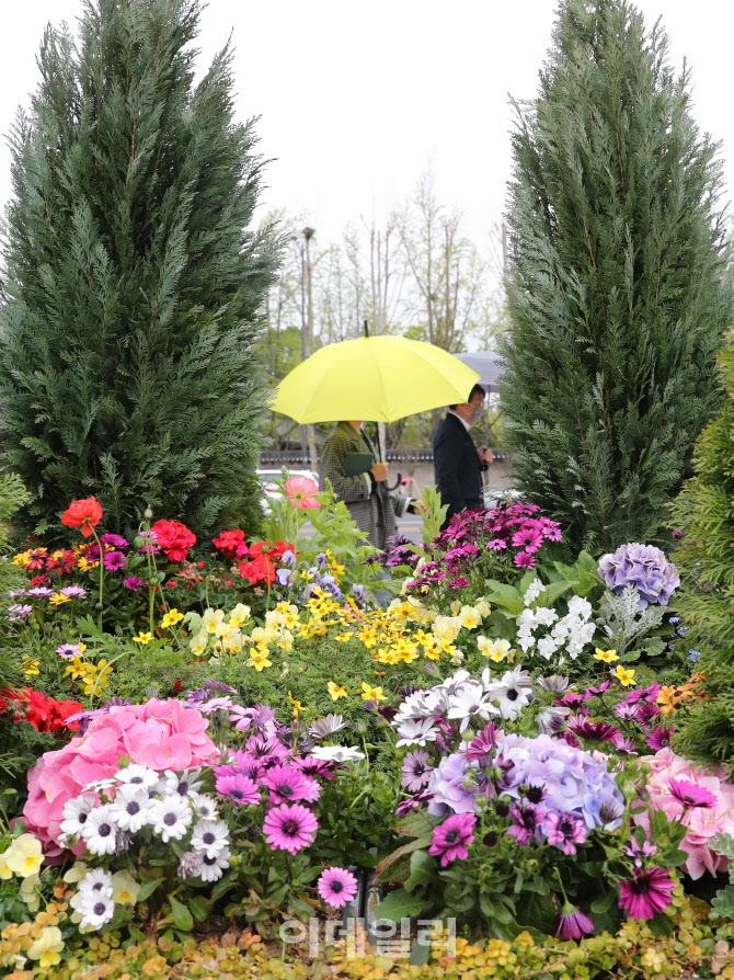 형형색색 싱그러운 봄                                                                                                                                                                              