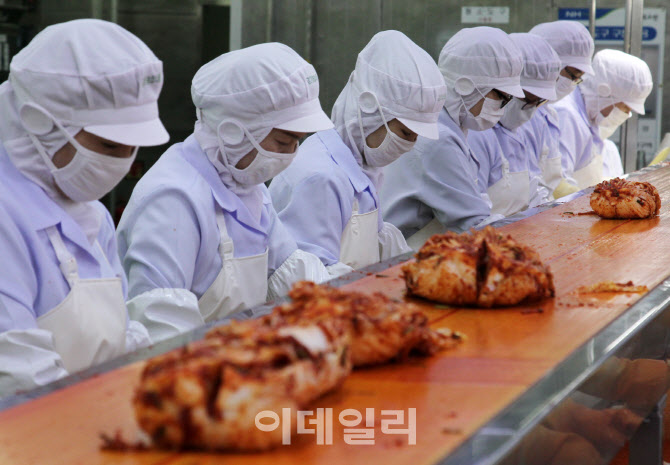  청결한 농협 김치공장                                                                                                                                                                             