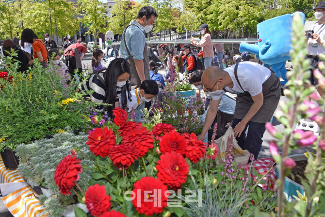 세계 각국의 아름다운 꽃들                                                                                                                                                                         