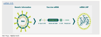 mRNA發 합종연횡 무대 커진다…삼바 참전·큐어백 대기