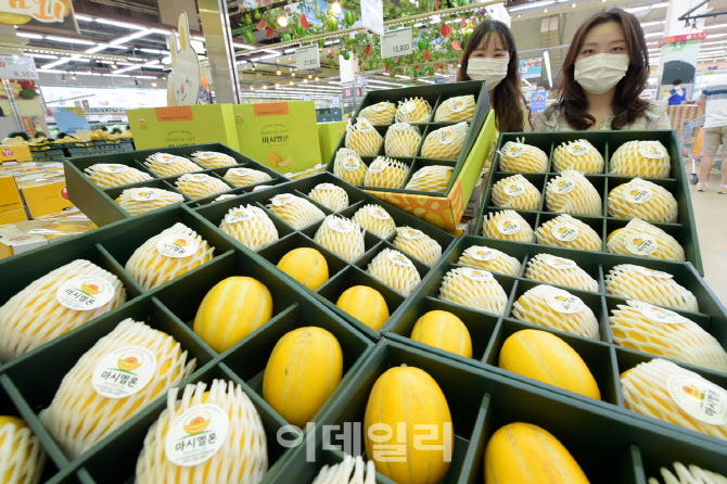 포토] 농협유통, '마시멜론' 출하