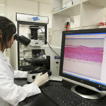 바이오솔루션 연골세포 치료제, 회복시간 절반에 이식환자 '급증'
