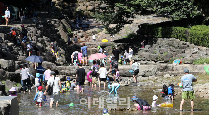 자, 떠나자! 한여름 속으로                                                                                                                                                                         