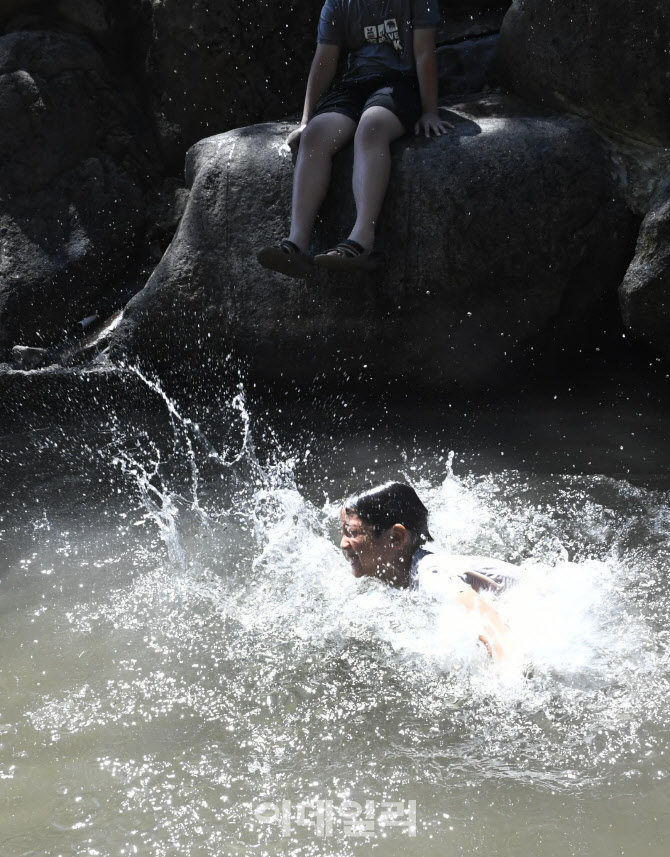 다이빙으로 더위 날려요!                                                                                                                                                                           