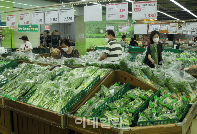  채소 가격 상승                                                                                                                                                                                   