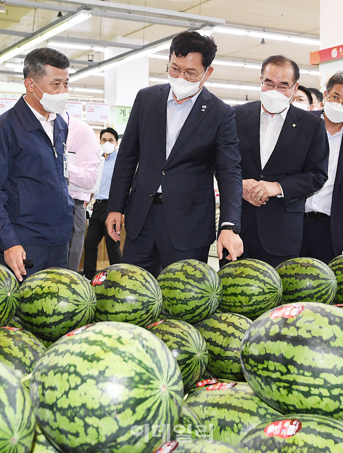 수박 살펴보는 송영길 더불어민주당 대표                                                                                                                                                            