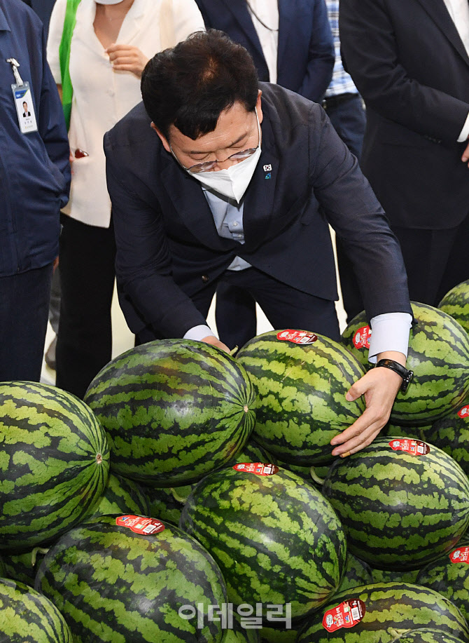 수박 살펴보는 송영길 대표                                                                                                                                                                         