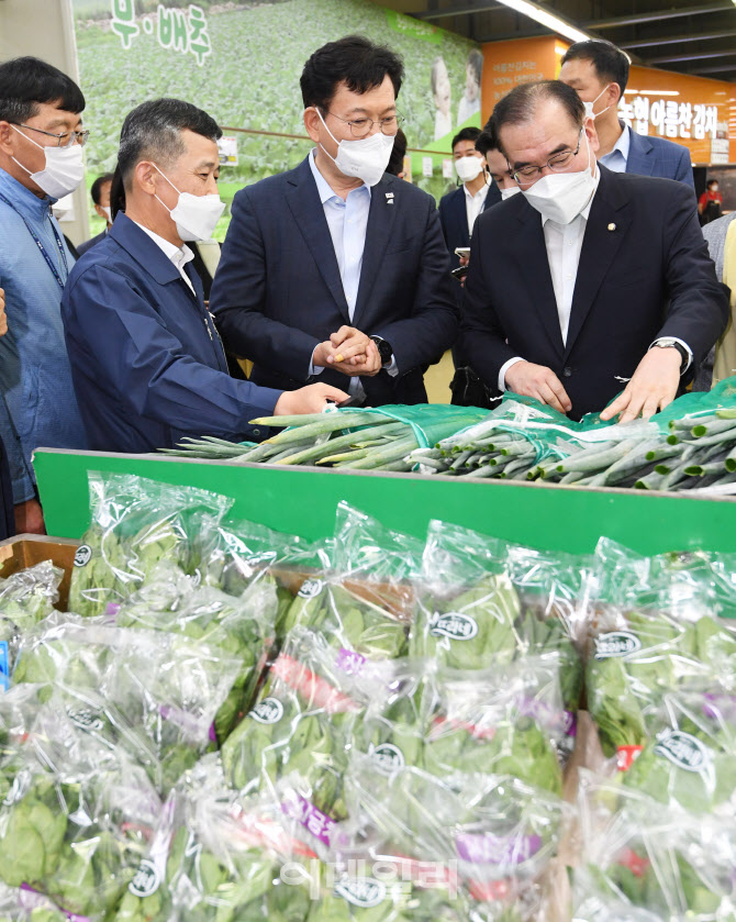 송영길 대표, 농산물 등 장바구니 물가 현장점검                                                                                                                                                     