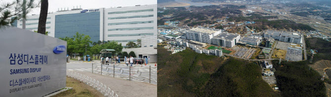 계속 떨어지는 LCD값…국내 디스플레이·TV업체 영향은? - Vimarsana News