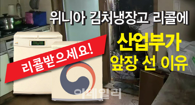 냉장고 딤채 리콜 김치 딤채 김치냉장고